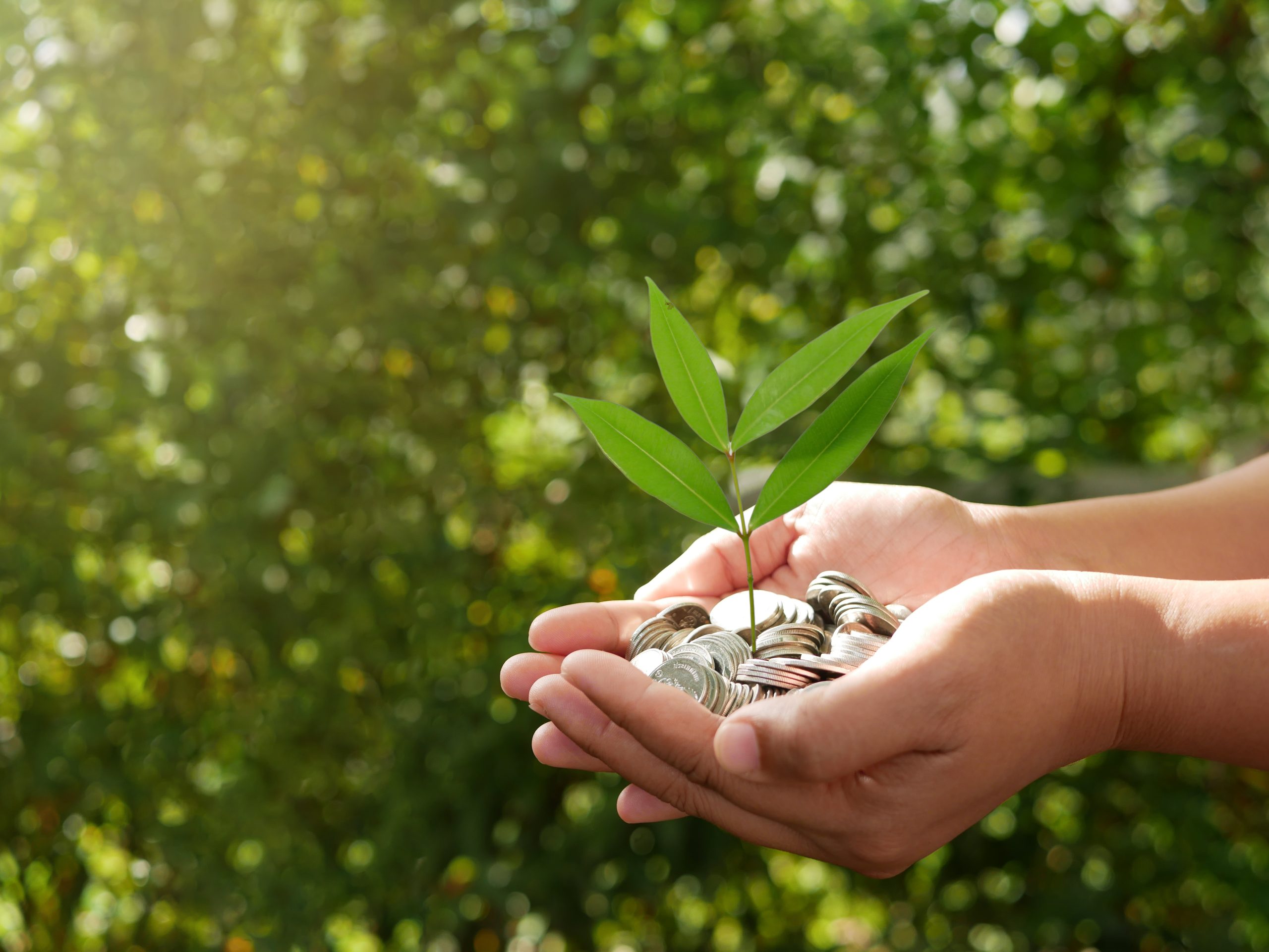 سُبُل الخير <b><u>وقف لله تعالى</u></b>